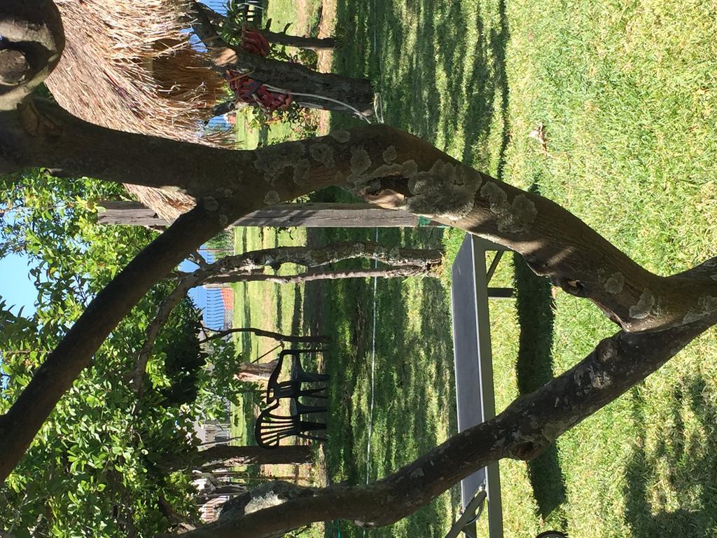 Aparthotel Residenza Casale San Francesco Tropea Zewnętrze zdjęcie